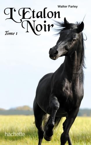 L'étalon noir - tome 1 - L'étalon noir 9782012028586