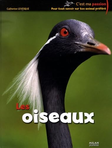 Les oiseaux 9782745936998
