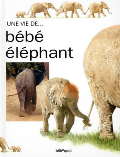 La Vie de bébé éléphant 9782841810819