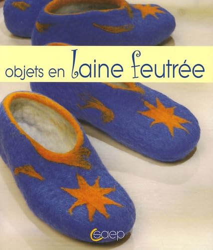 Objets en laine feutrée 9782737249440