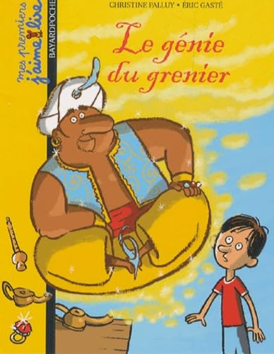 Le génie du grenier 9782747022163