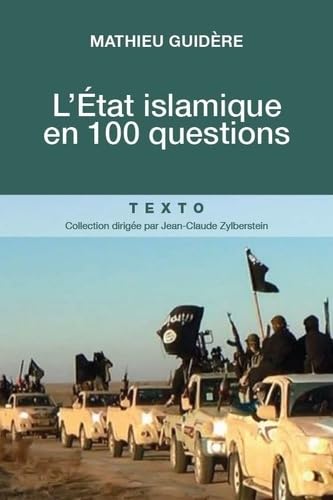 L'état islamique en 100 questions 9791021027381