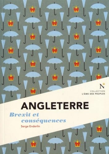 Angleterre : Brexit et consequences 9782875231123