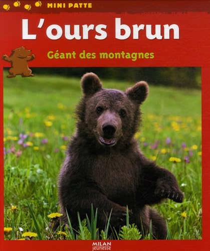 L'ours brun: Géant des montagnes 9782745926937