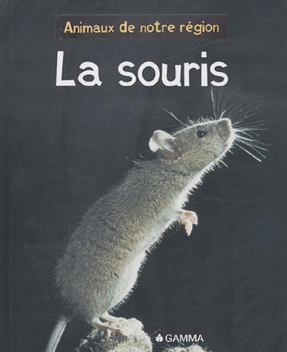 La Souris 9782713020056