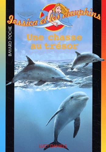 Jessica et les dauphin : Une chasse au trésor 9782747004794