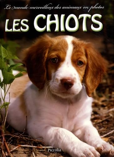 Les chiots 9782753009776
