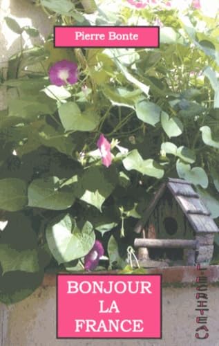 Bonjour la France 9782353031092