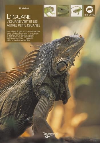 L'iguane 9782732884141
