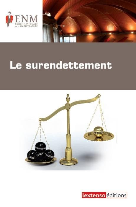 le surendettement 9782359710434