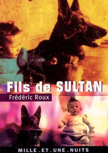 Fils de Sultan 9782842056926