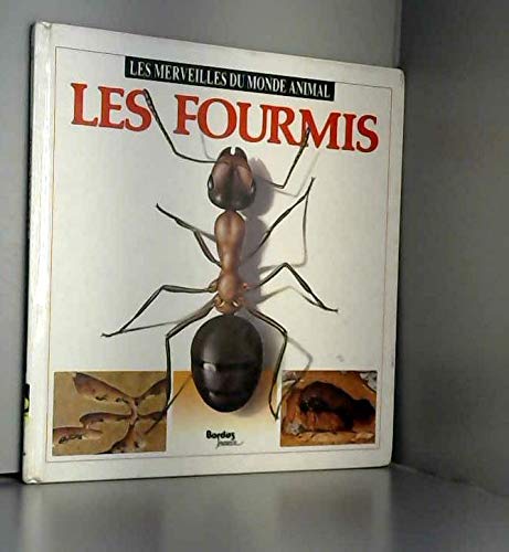 Les fourmis 9782040193935