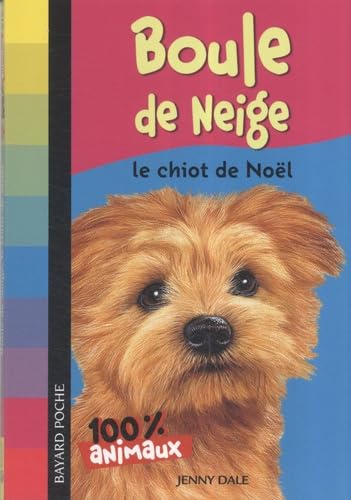 Boule de neige: Le chiot de Noël 9782747022675