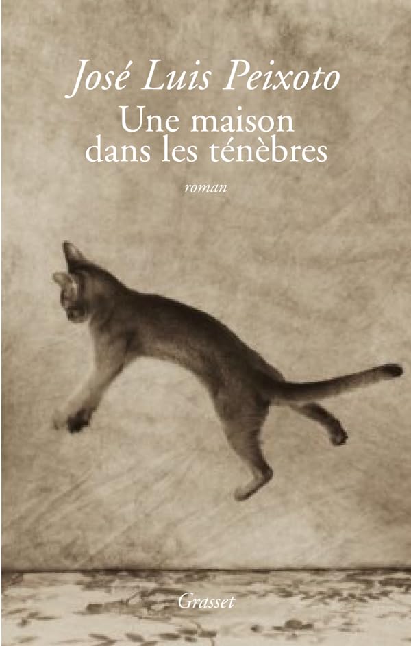 Une maison dans les ténèbres 9782246679912