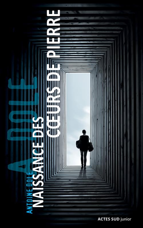 Naissance des coeurs de pierre 9782330081416