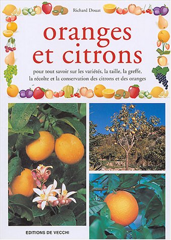 Oranges et citrons 9782732813578