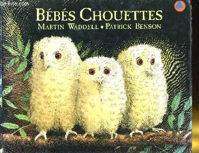 Bébés chouettes 9782877670883