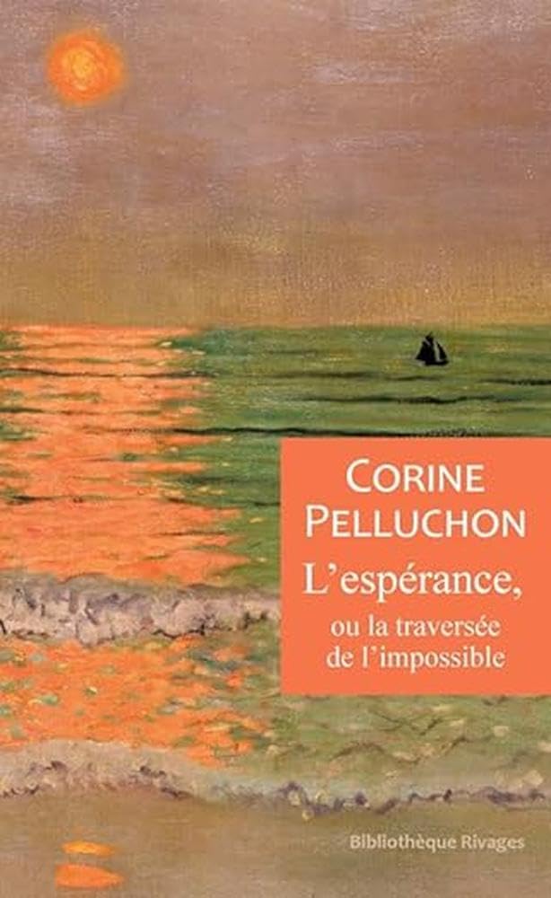 L'espérance, ou la traversée de l'impossible 9782743658472