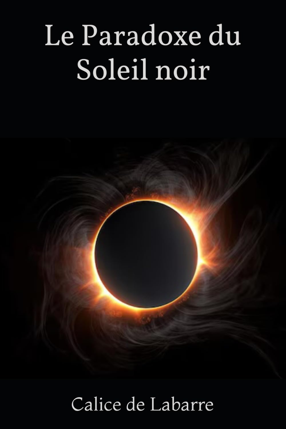 Le Paradoxe du Soleil noir 9798874194802