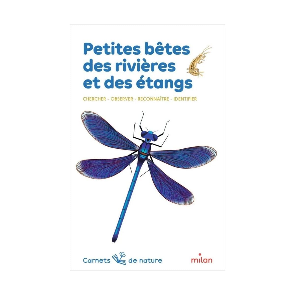 Petites bêtes des rivières et des étangs 9782745915924