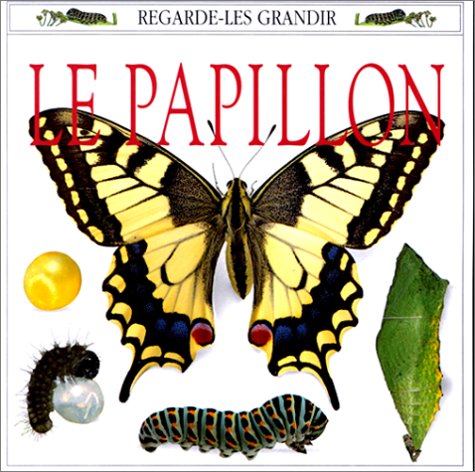 Le papillon 9780751349689