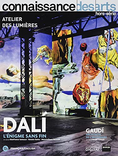 DALI L ENIGME SANS FIN 9782758010432
