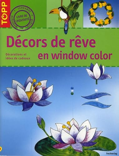 Décors de rêve en Window Color 9782841673827