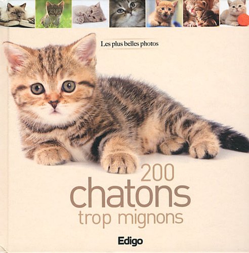 200 chatons trop mignons : Les plus belles photos 9782359331165