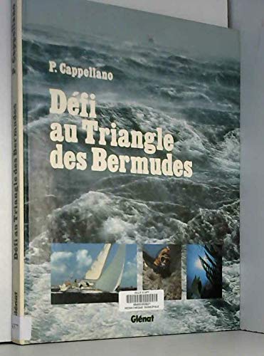 Défi au Triangle des Bermudes 9782723405492