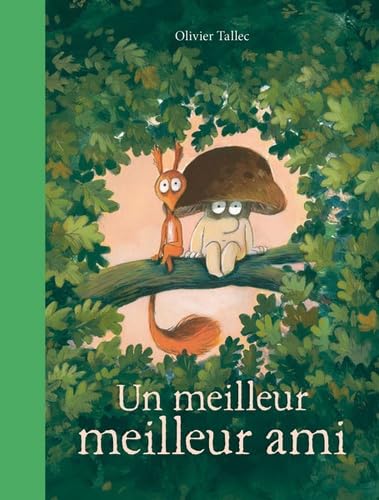 Un meilleur meilleur ami 9782211344579