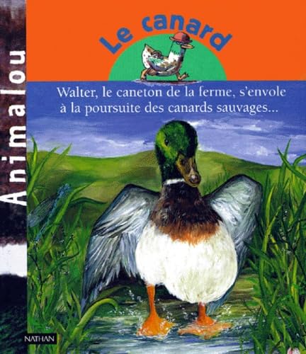 Le Canard : Walter, le caneton de la ferme, s'envole à la poursuite des canards sauvages... 9782092701584