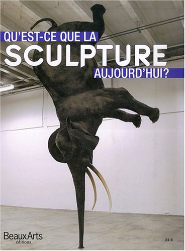 Qu'est-ce-que la sculpture aujourd'hui ? 9782842786069