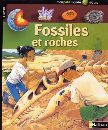 FOSSILES ET ROCHES 9782092524244
