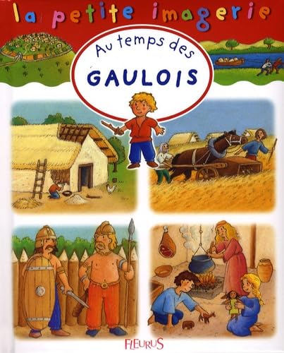 Au temps des Gaulois 9782215087373
