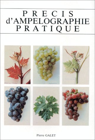 Précis d'ampélographie pratique 9782902771028