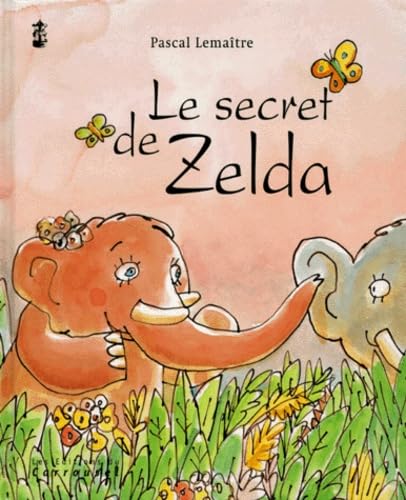 Le Secret de Zelda 9782745603241