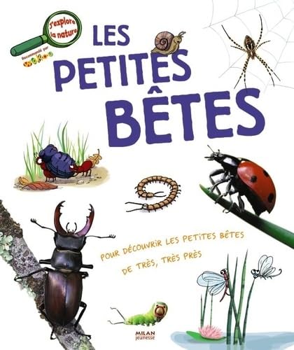 Les petites bêtes 9782745930224