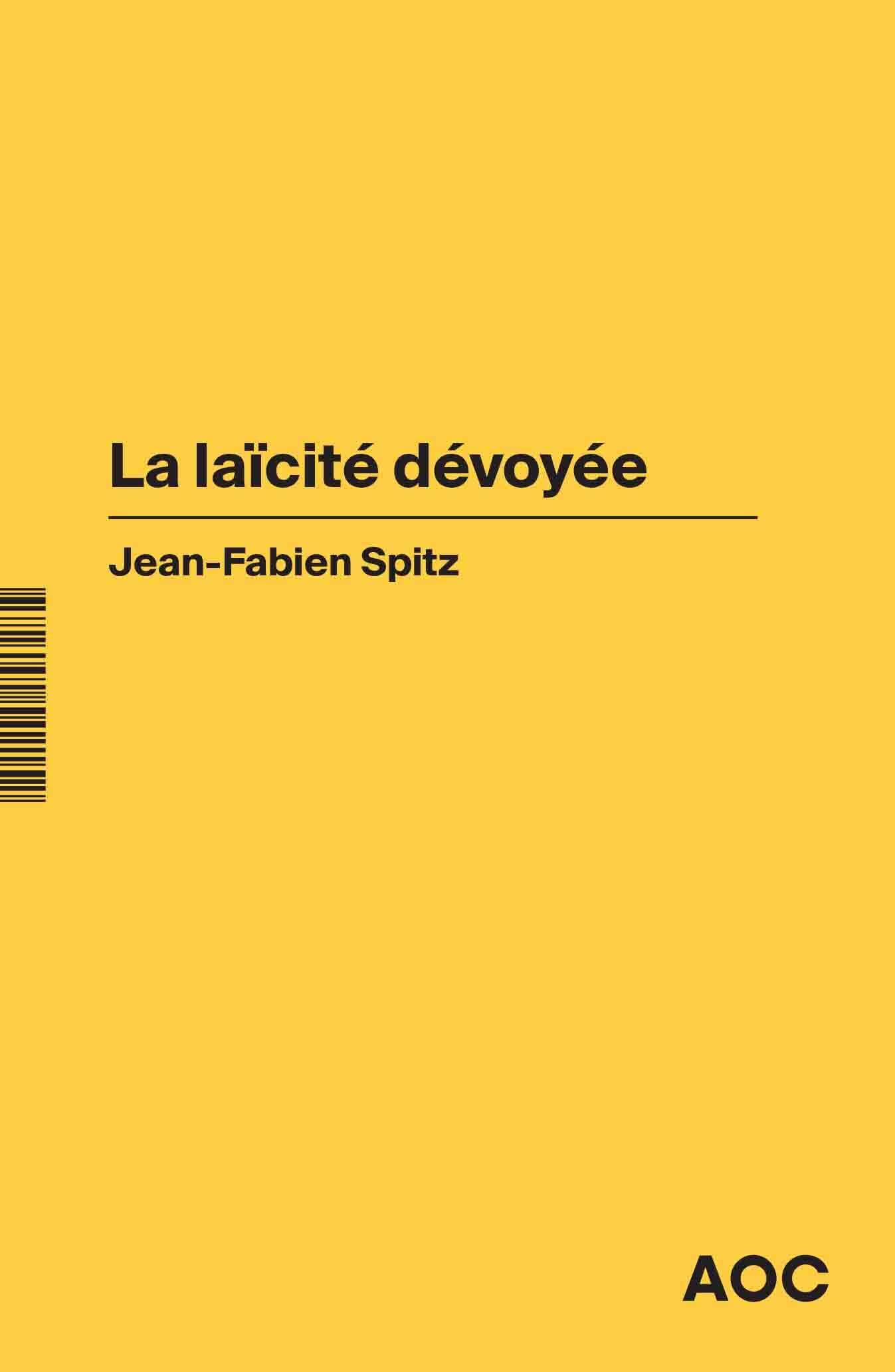 La laïcité dévoyée 9782492542152