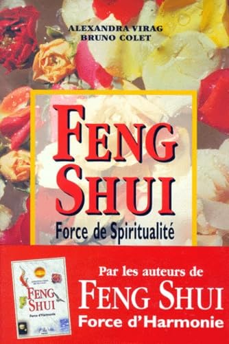 Feng shui : Force de spiritualité 9782841971435