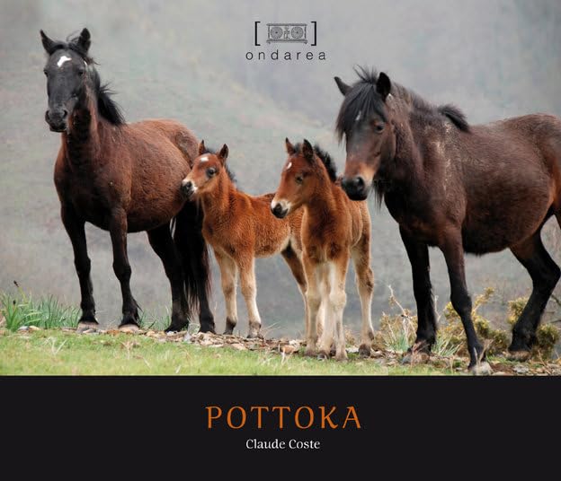 Pottokak: Edition bilingue français-basque 9788415337683