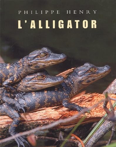 l'alligator 9782211063159