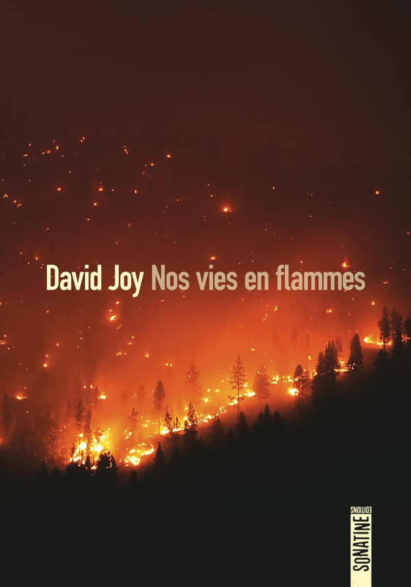Nos vies en flammes 9782355847301