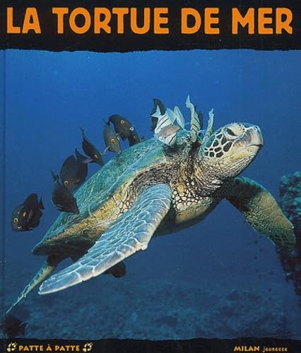 La Tortue de mer 9782745908711