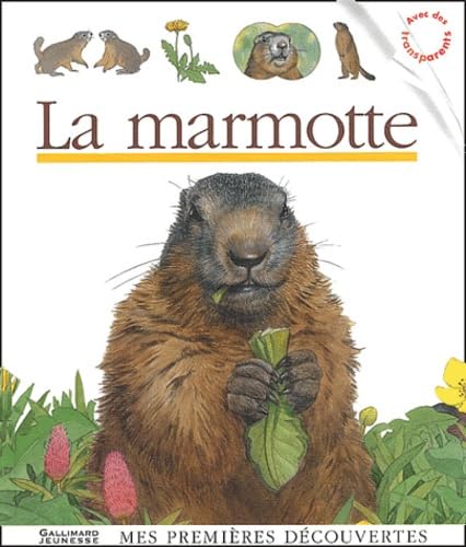 La Marmotte 9782070538607