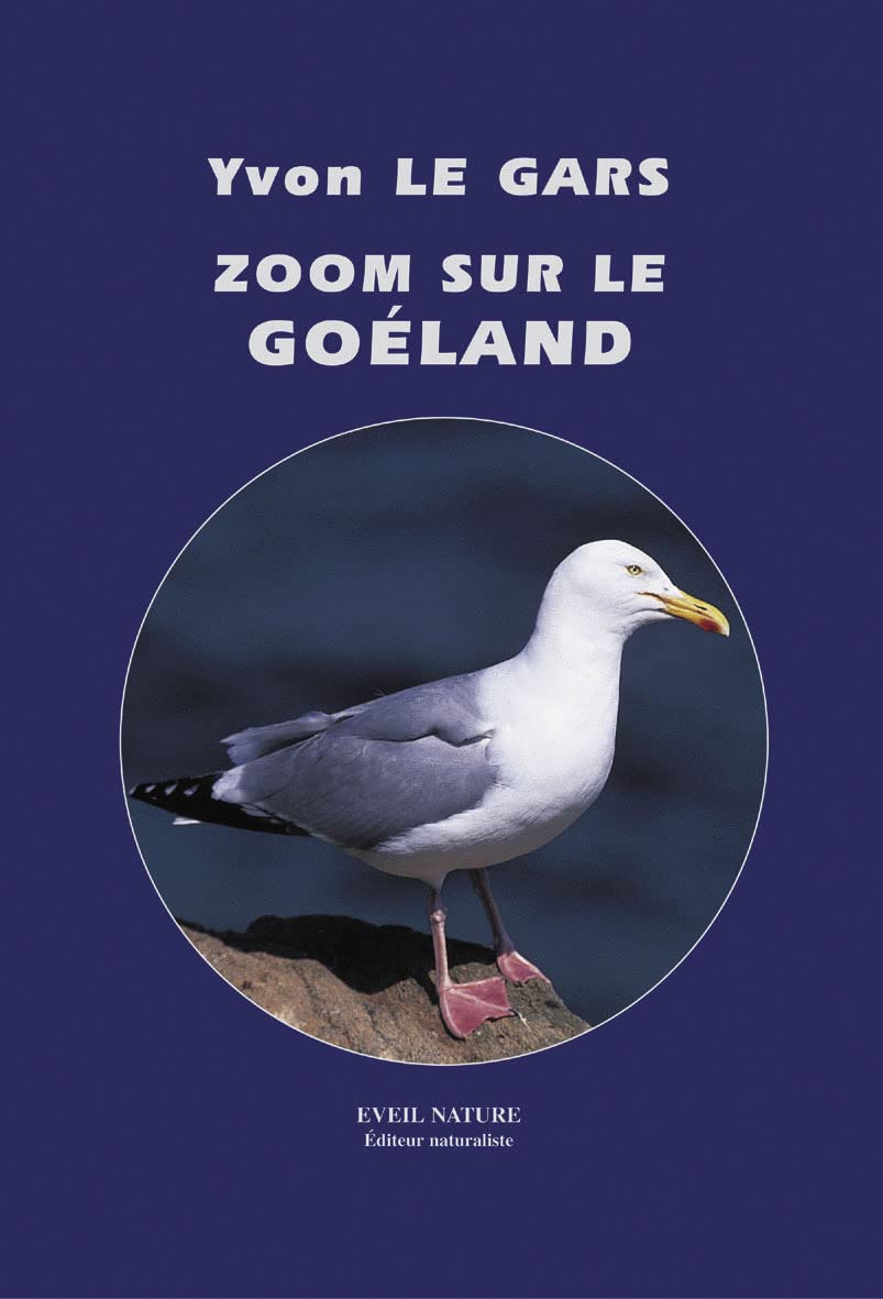 Zoom sur le goeland 9782840000334