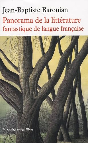 Panorama de la littérature fantastique de langue française: Des origines à demain 9782710329015