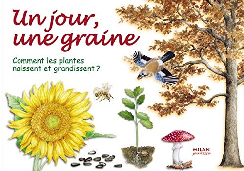 Un jour, une graine: Comment les plantes naissent et grandissent ? 9782745921178