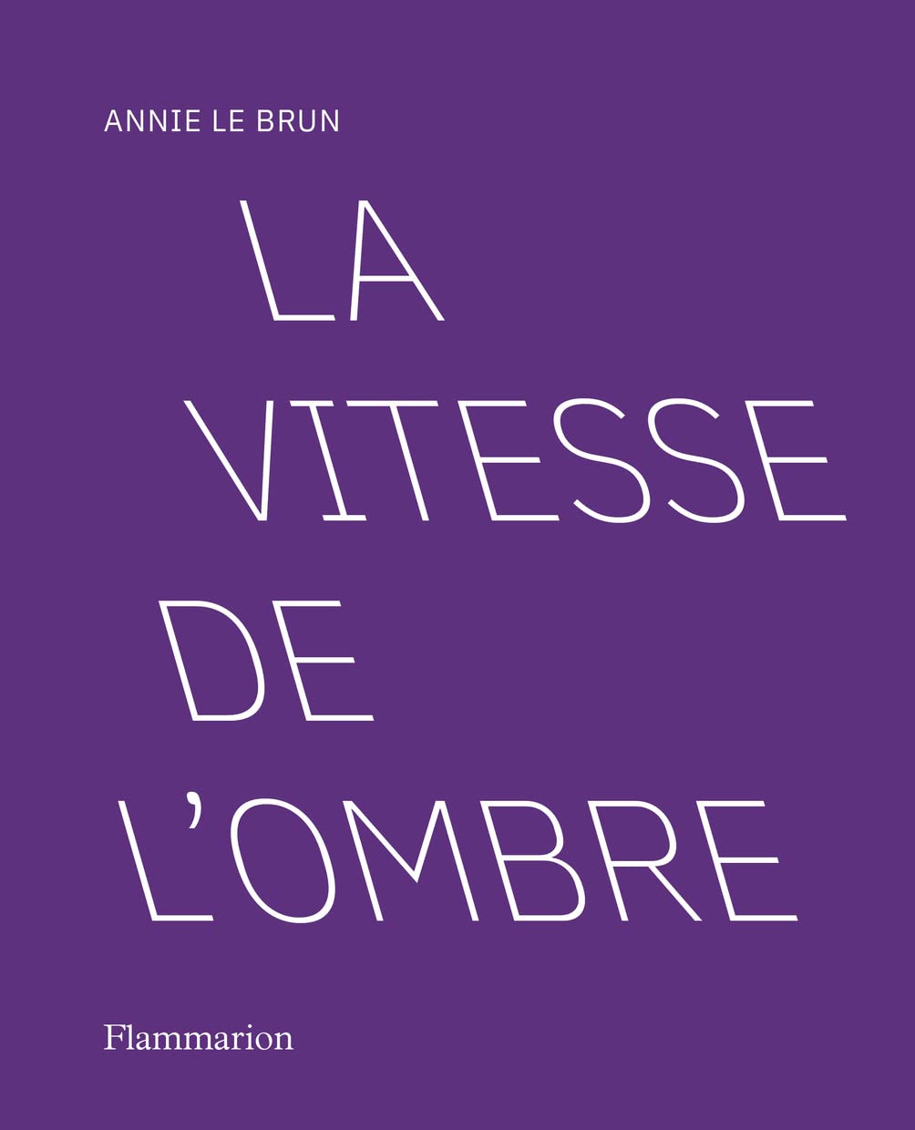 La vitesse de l'ombre 9782080413642