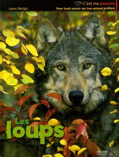 Les loups 9782745919038