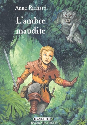 Blanc Hibou, tome 2 : L'Ambre maudite 9782747003834
